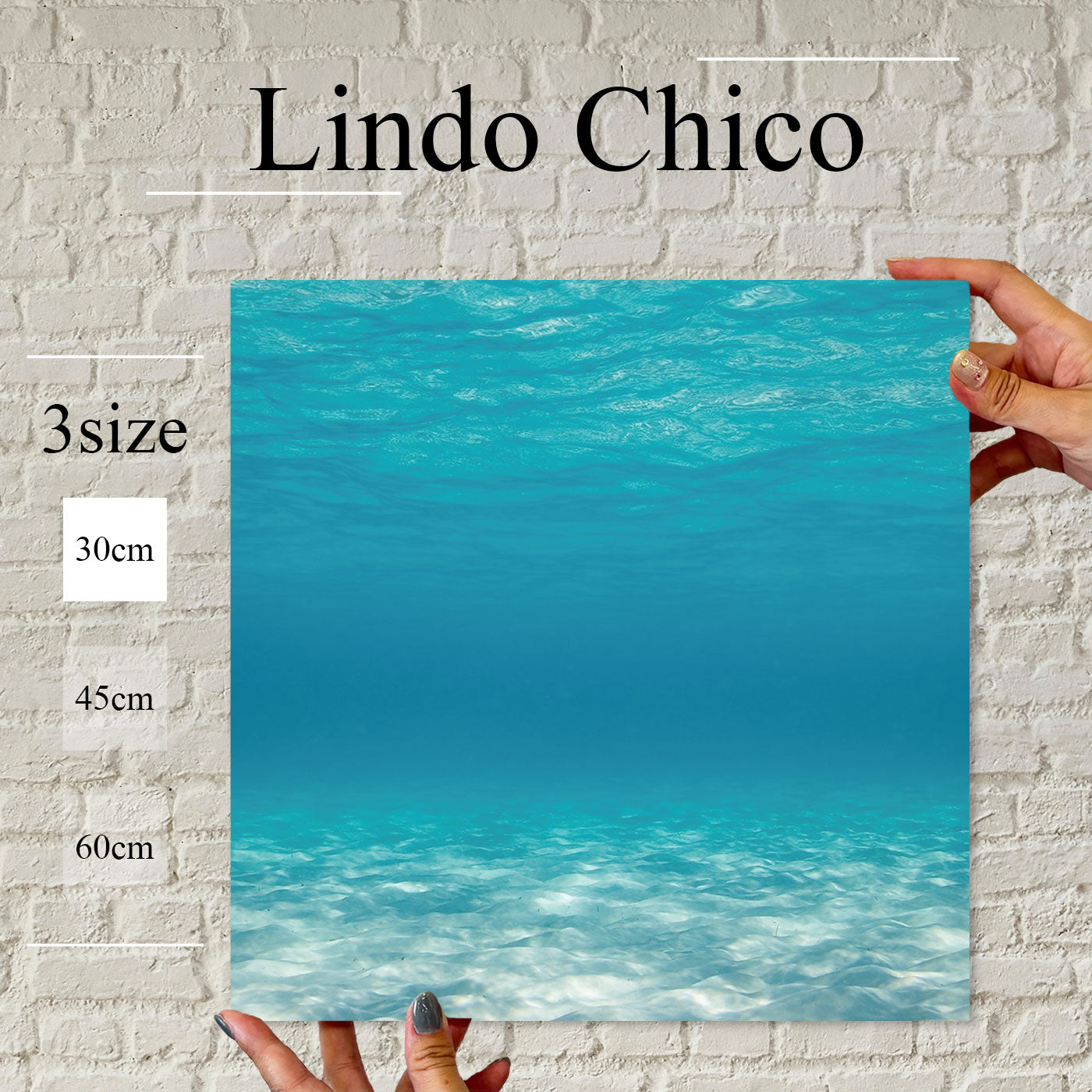 Fab-Lindo-Chico-abc-064