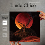 Fab-Lindo-Chico-abc-067