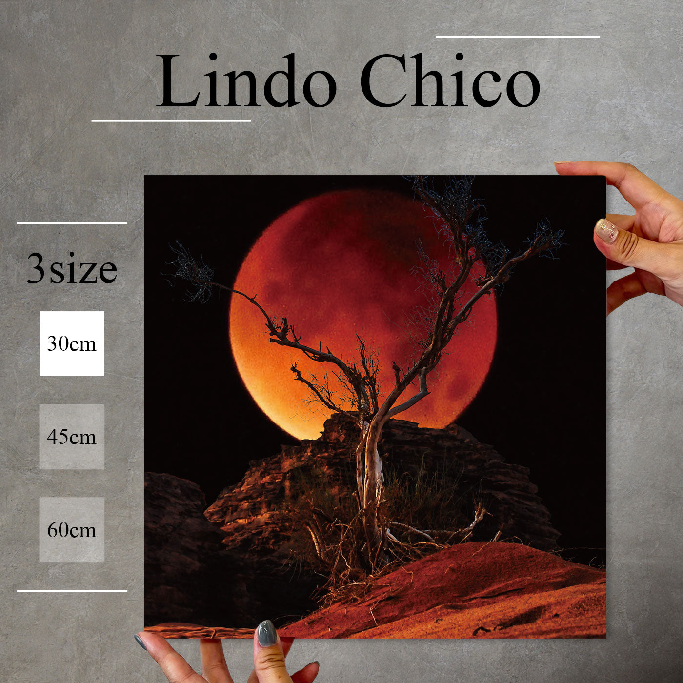 Fab-Lindo-Chico-abc-067