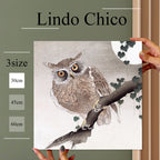 Fab-Lindo-Chico-abc-071