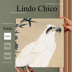 Fab-Lindo-Chico-abc-072