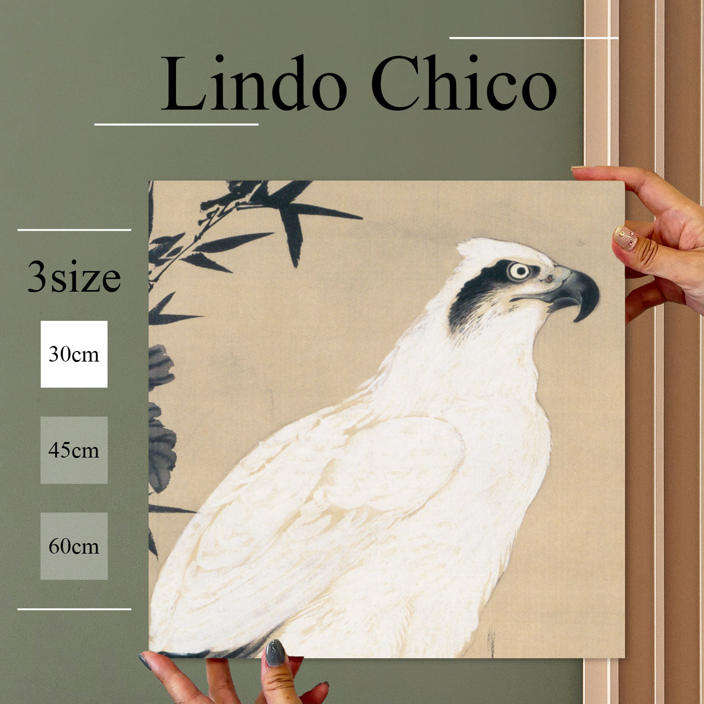 Fab-Lindo-Chico-abc-072