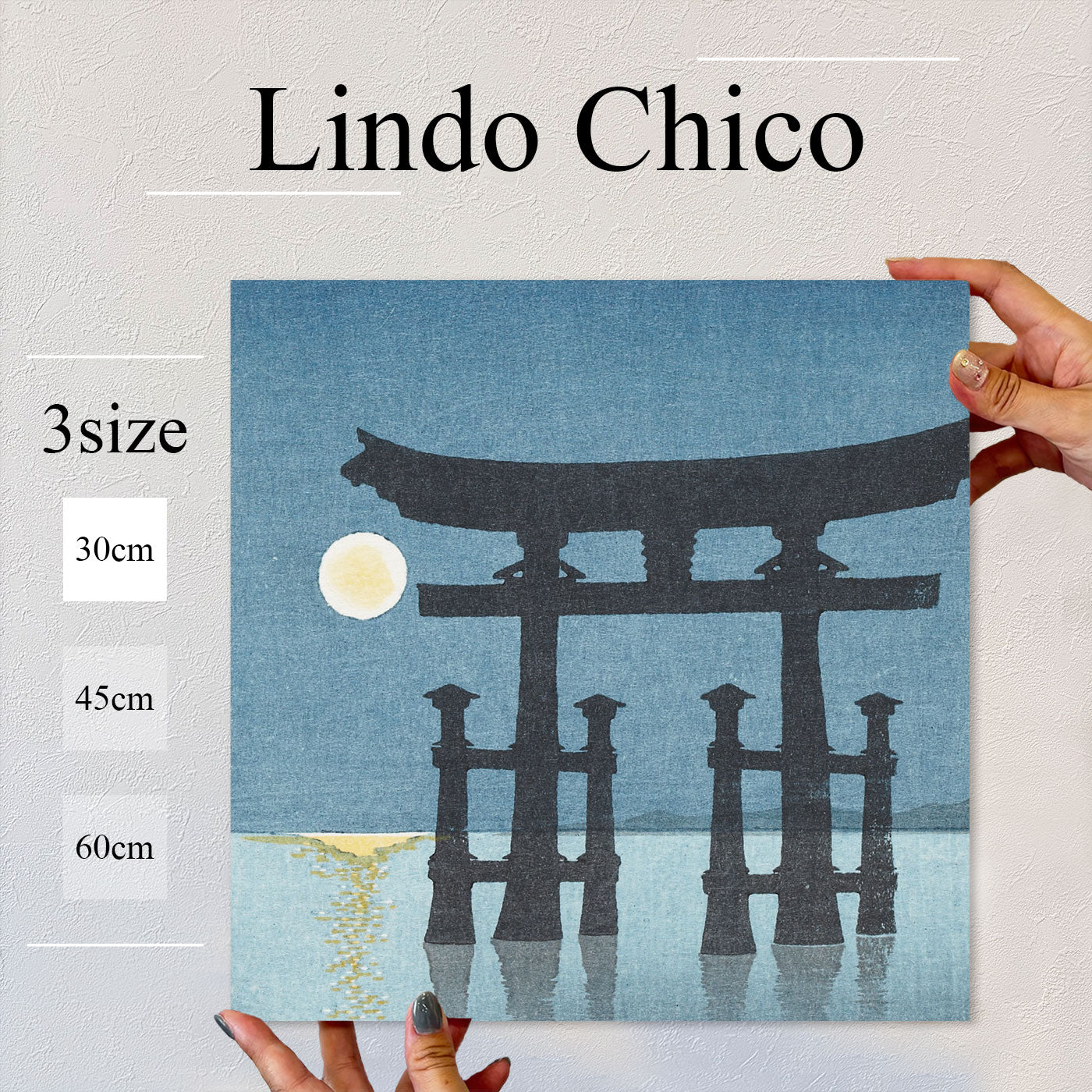 Fab-Lindo-Chico-abc-074