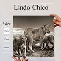 Fab-Lindo-Chico-abc-078