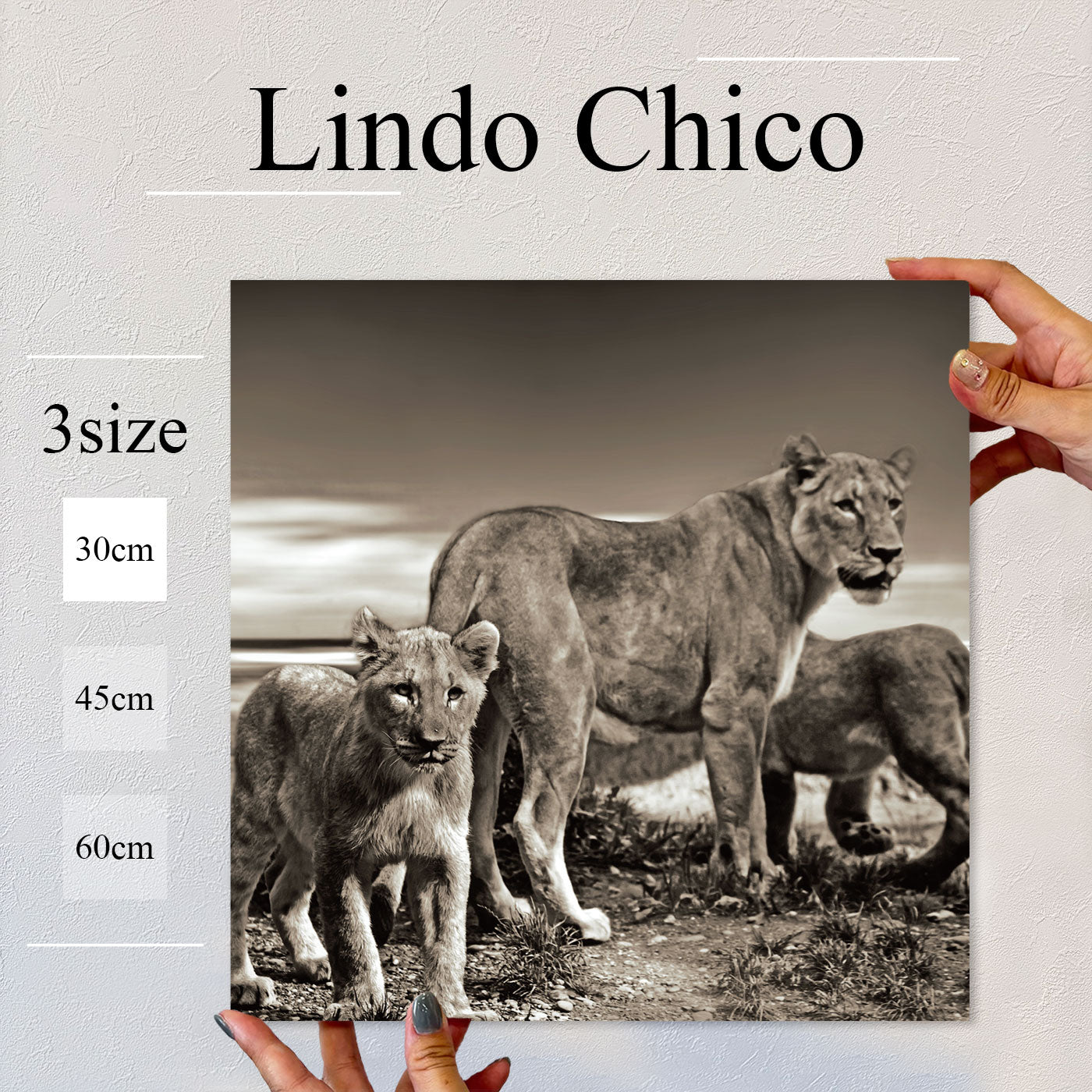 Fab-Lindo-Chico-abc-078