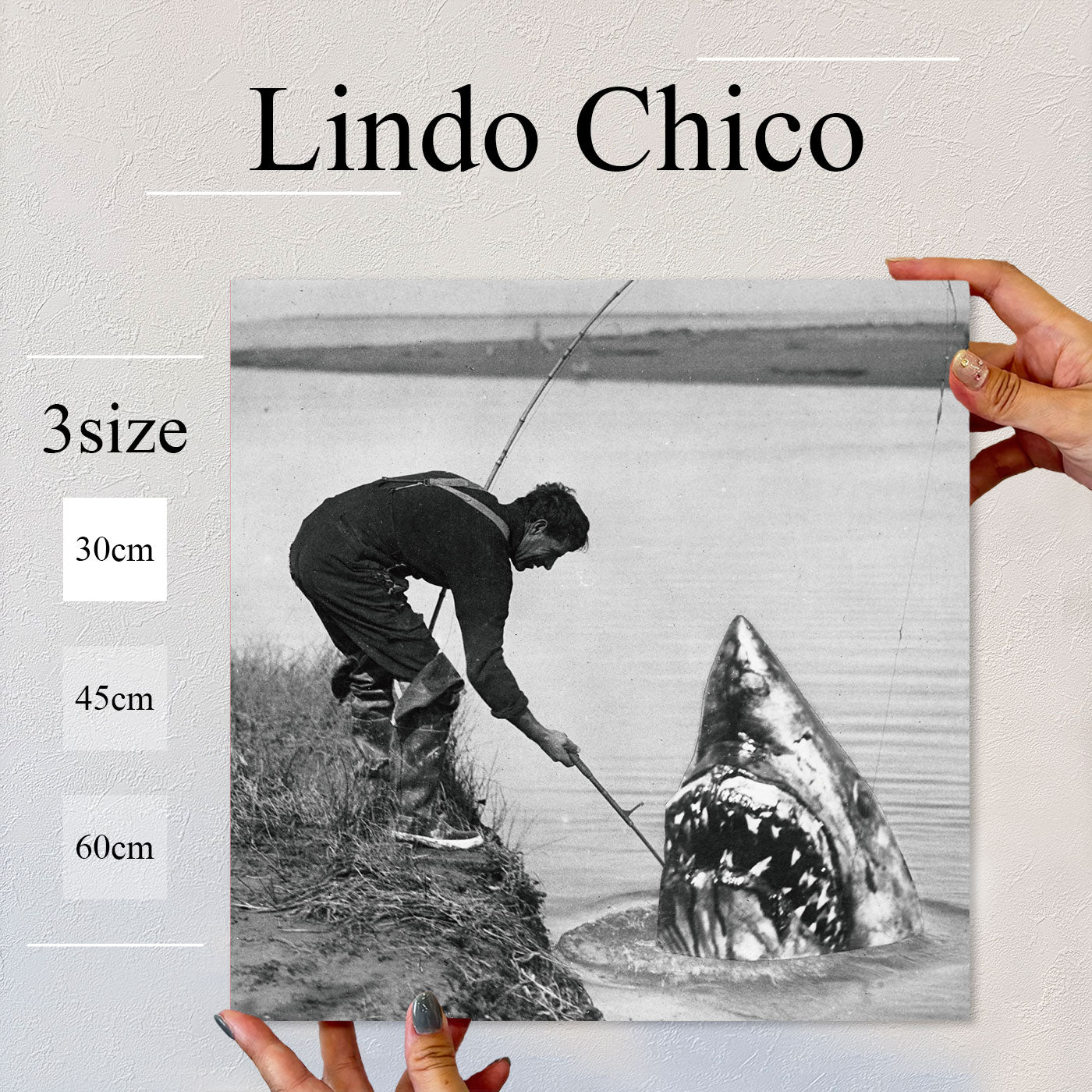 Fab-Lindo-Chico-abc-079