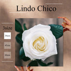 Fab-Lindo-Chico-abc-081