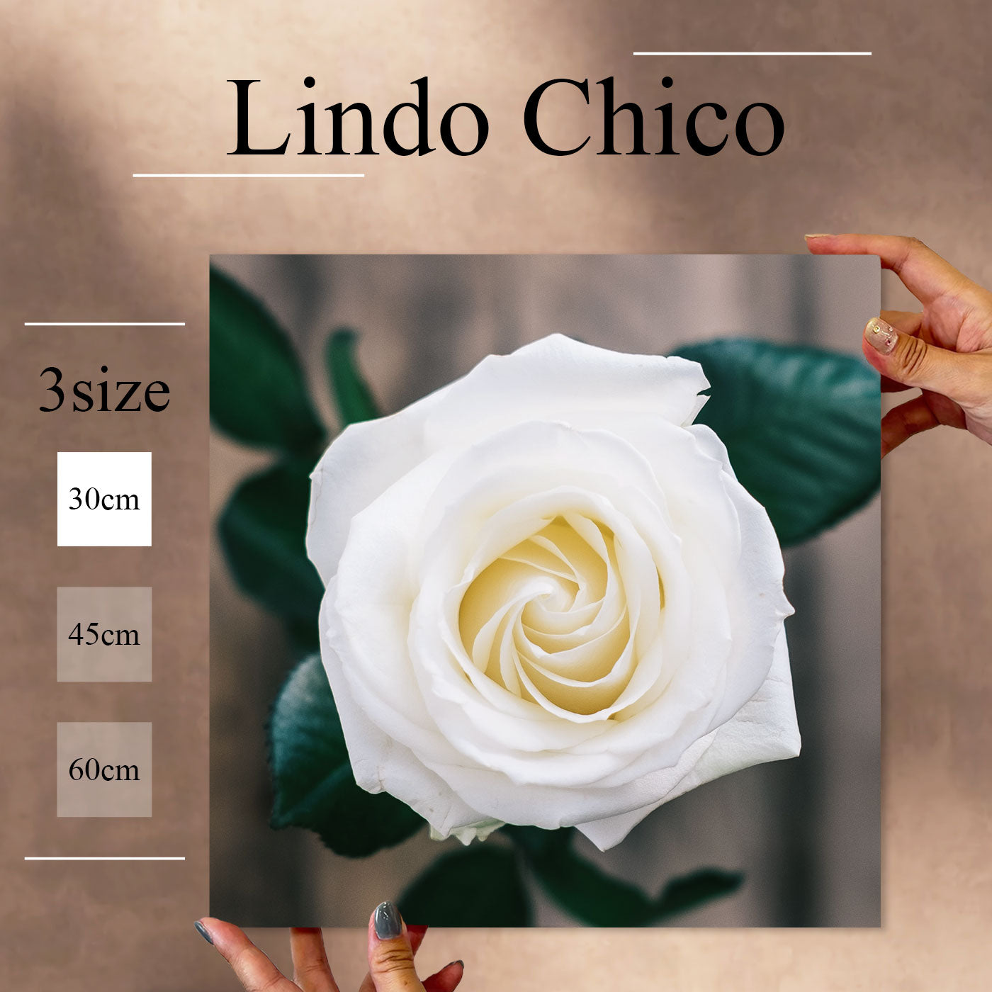 Fab-Lindo-Chico-abc-081