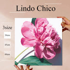 Fab-Lindo-Chico-abc-083