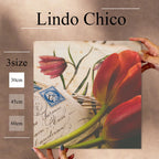 Fab-Lindo-Chico-abc-085