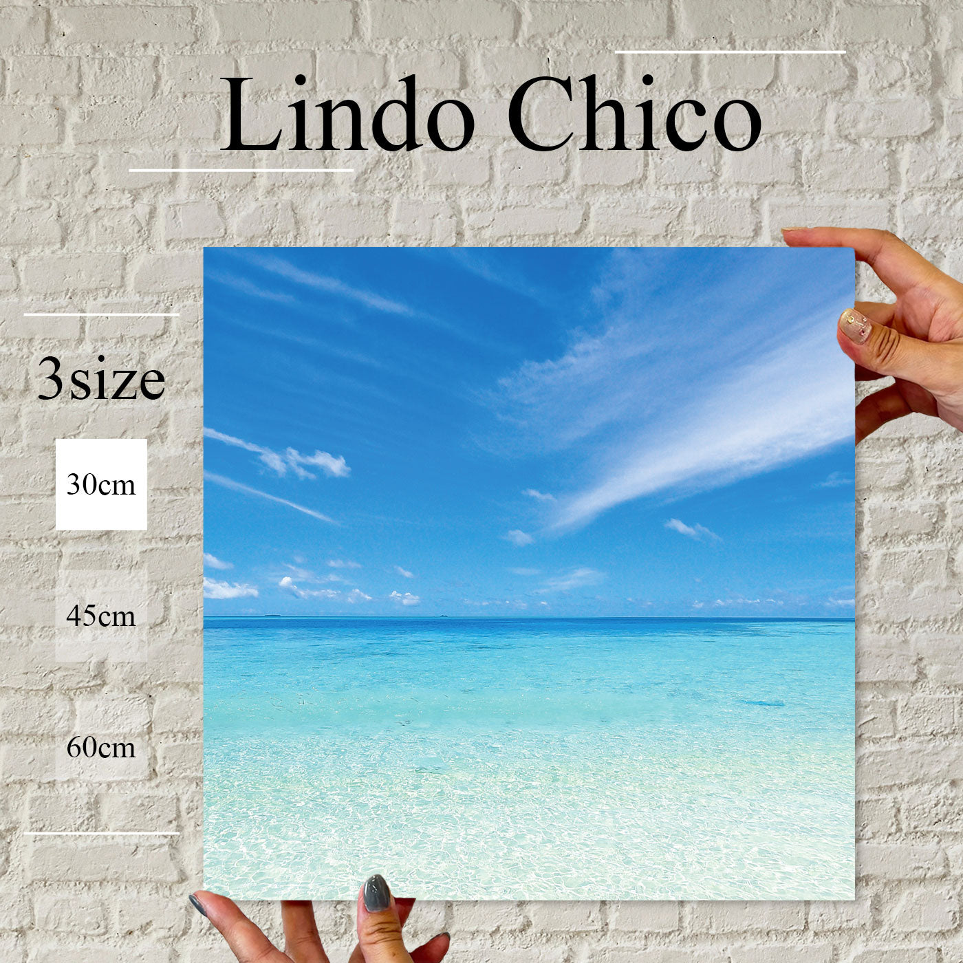 Fab-Lindo-Chico-abc-087