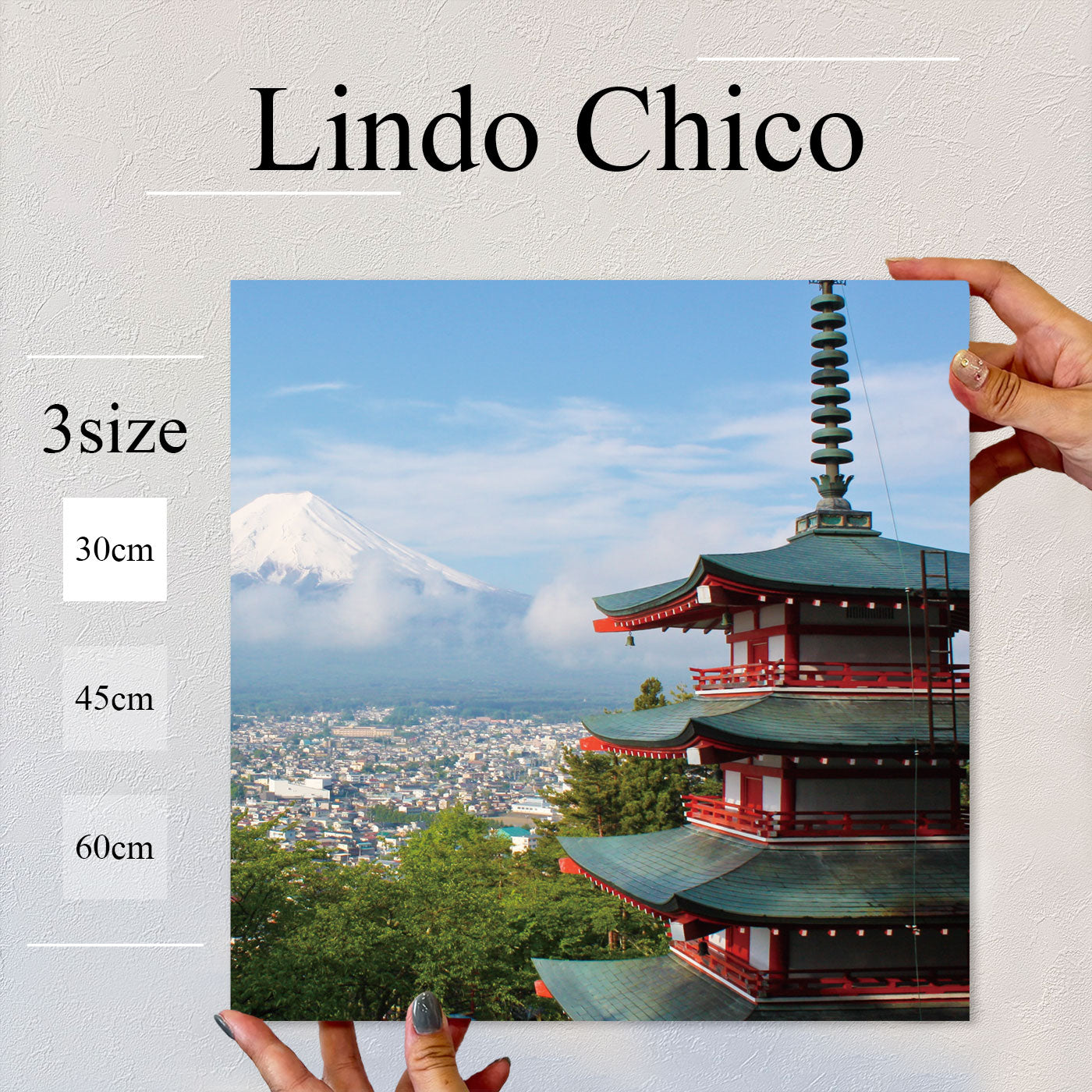 Fab-Lindo-Chico-abc-097