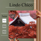 Fab-Lindo-Chico-abc-099