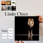 Fab-Lindo-abc-04