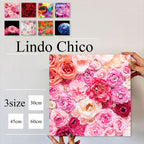 Fab-Lindo-abc-05