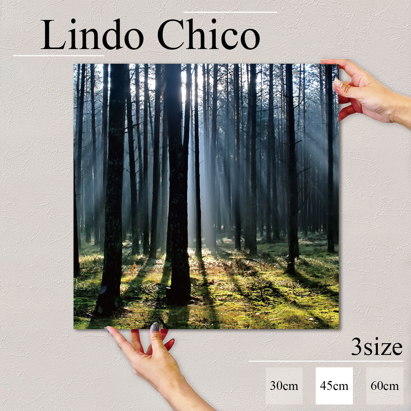 Fab-Lindo-Chico-abc-008