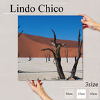 Fab-Lindo-Chico-abc-015