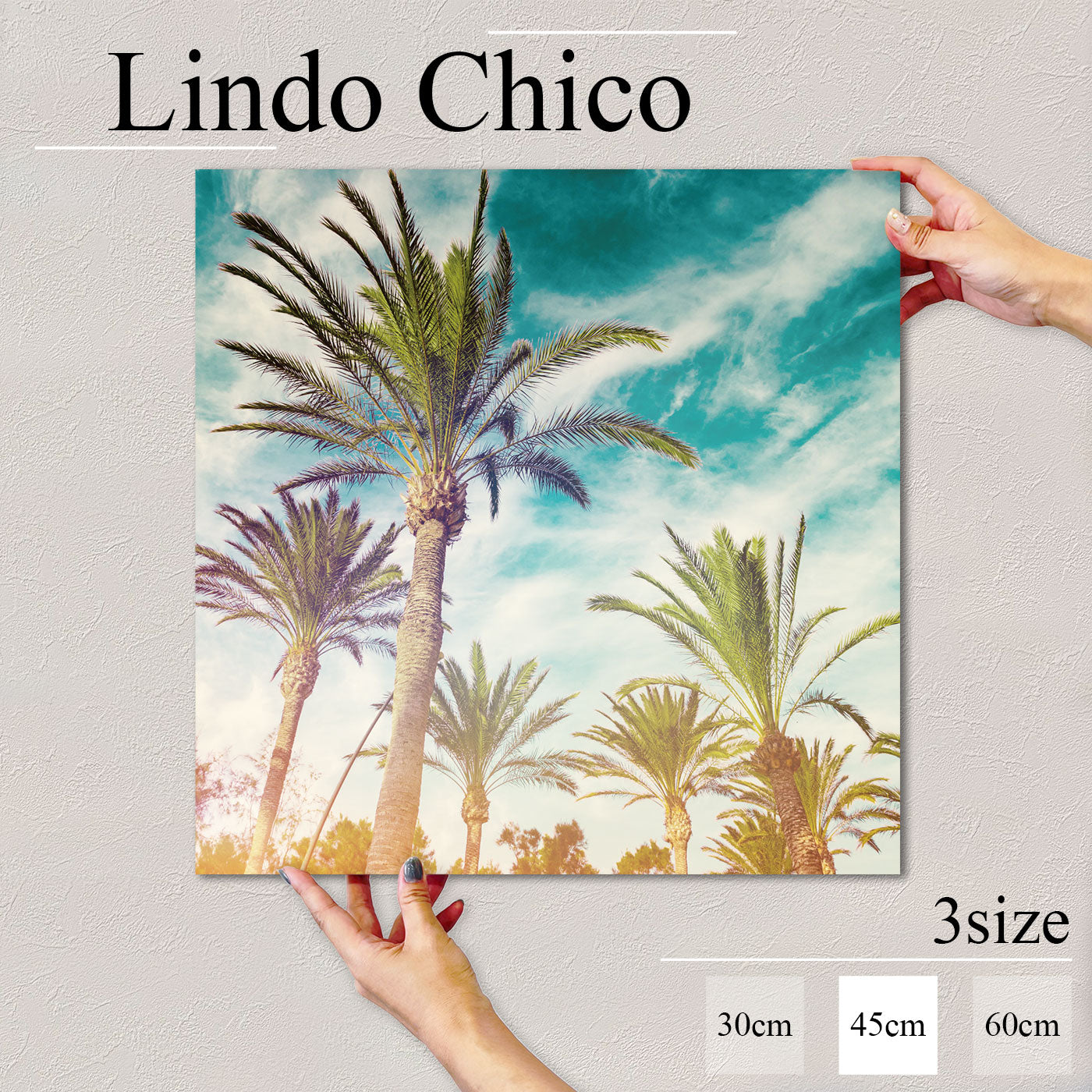 Fab-Lindo-Chico-abc-027