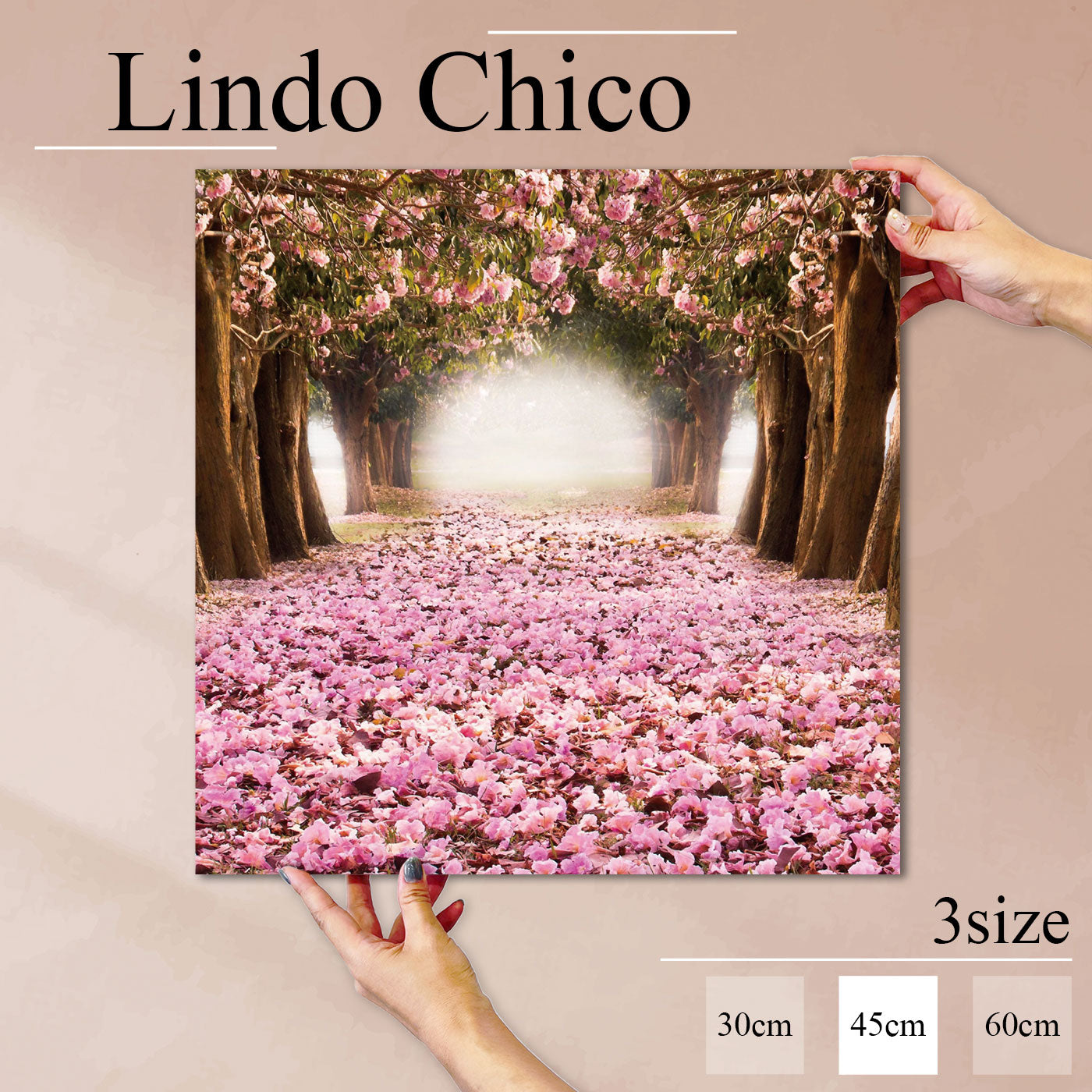 Fab-Lindo-Chico-abc-031