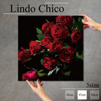 Fab-Lindo-Chico-abc-032