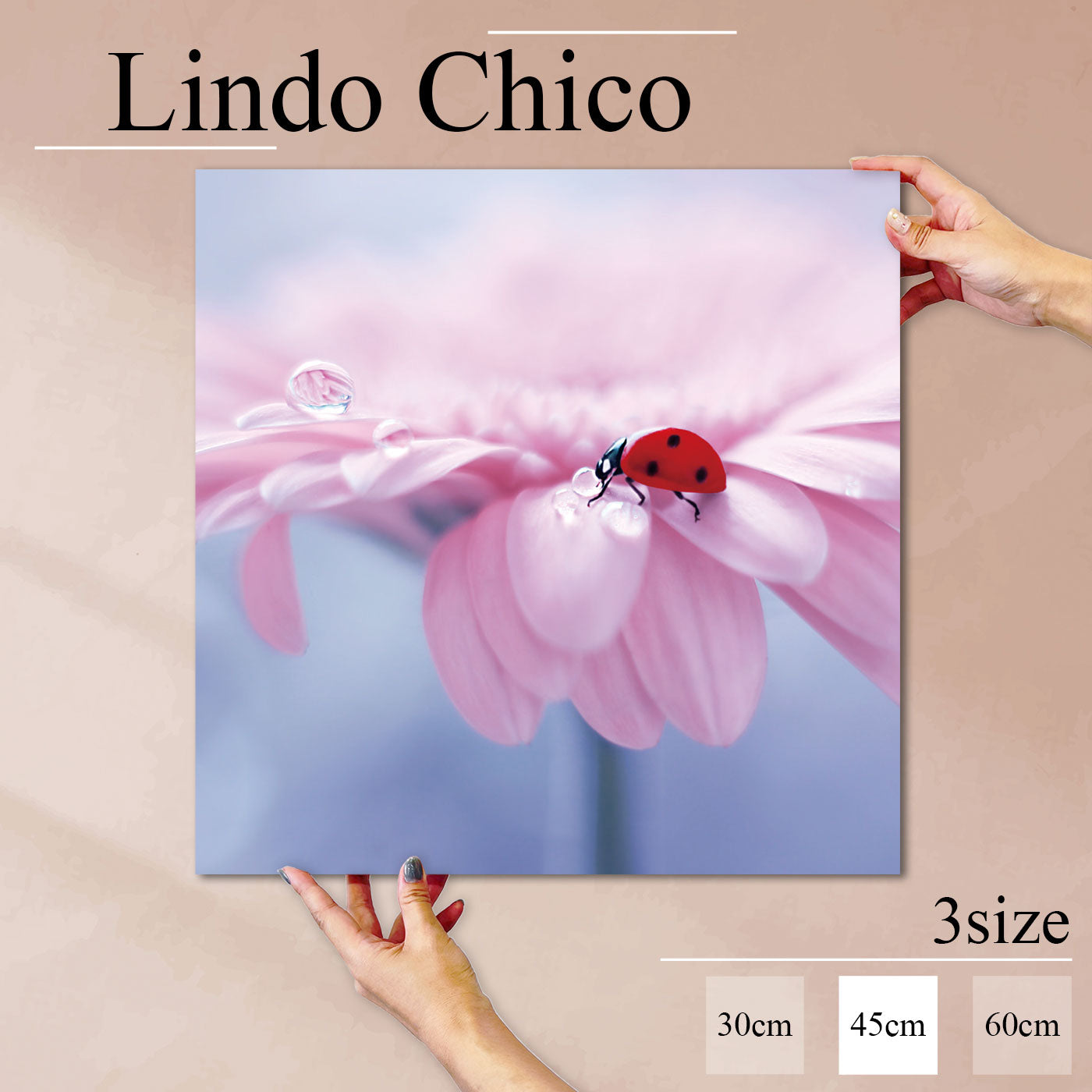 Fab-Lindo-Chico-abc-033