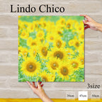 Fab-Lindo-Chico-abc-035