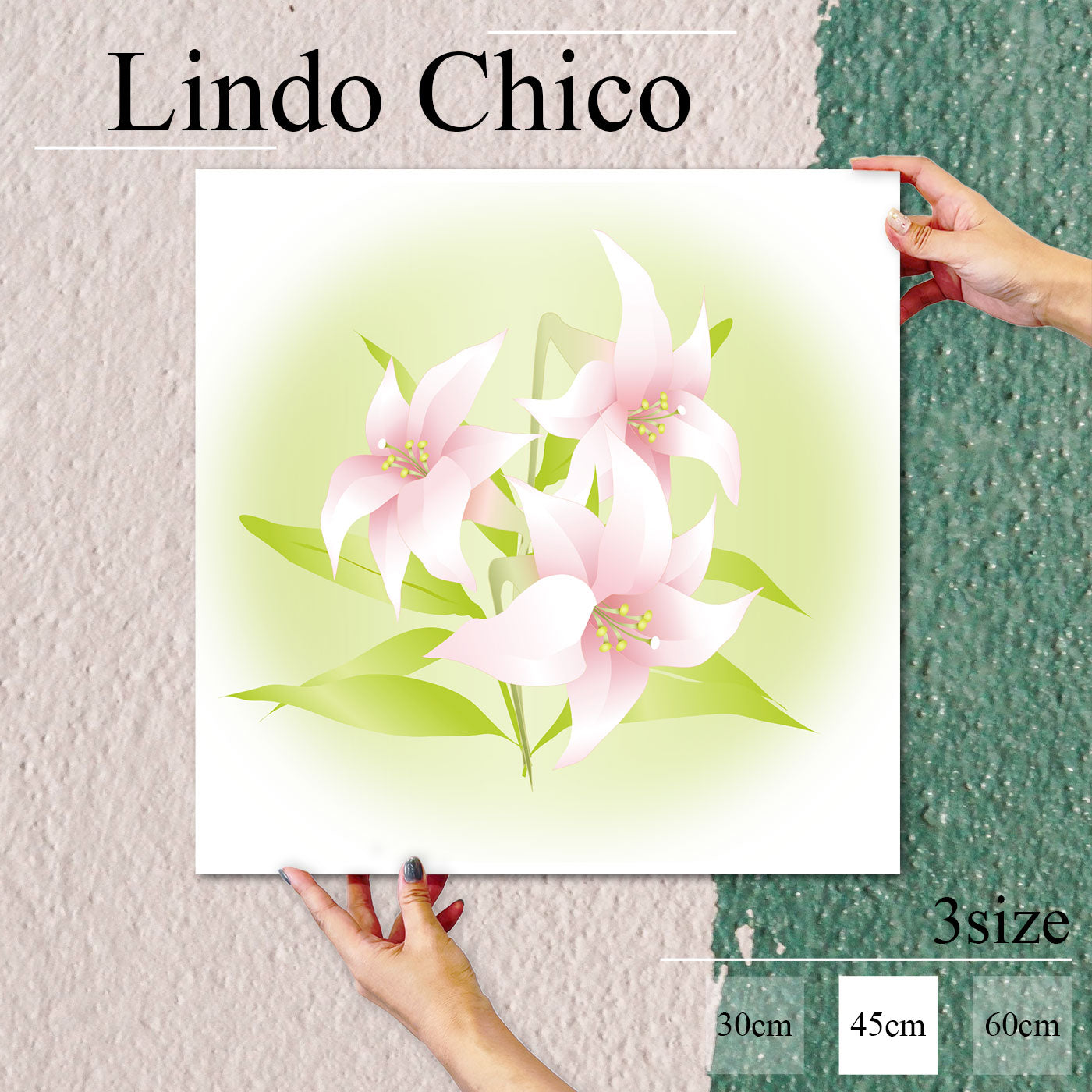 Fab-Lindo-Chico-abc-037