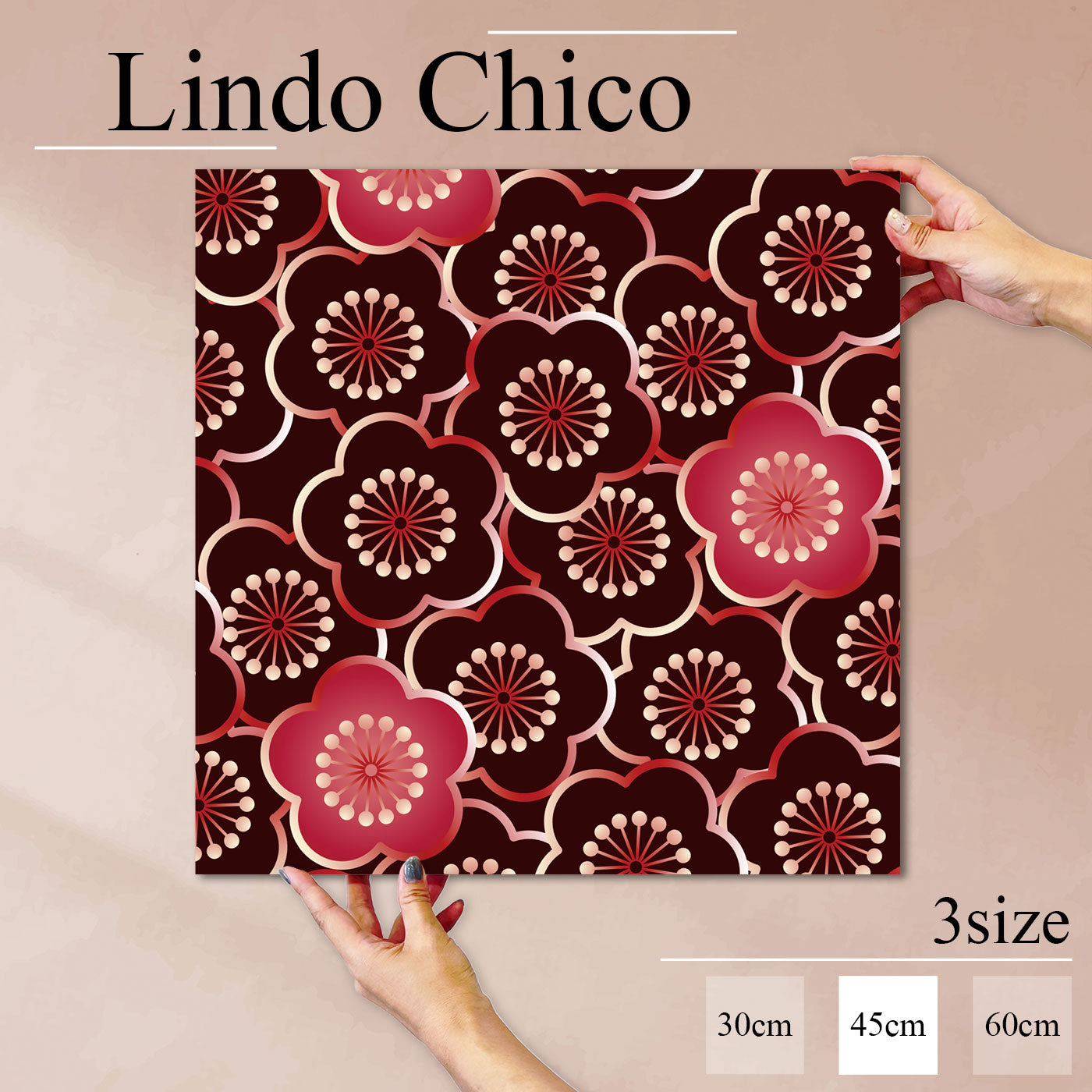 Fab-Lindo-Chico-abc-040