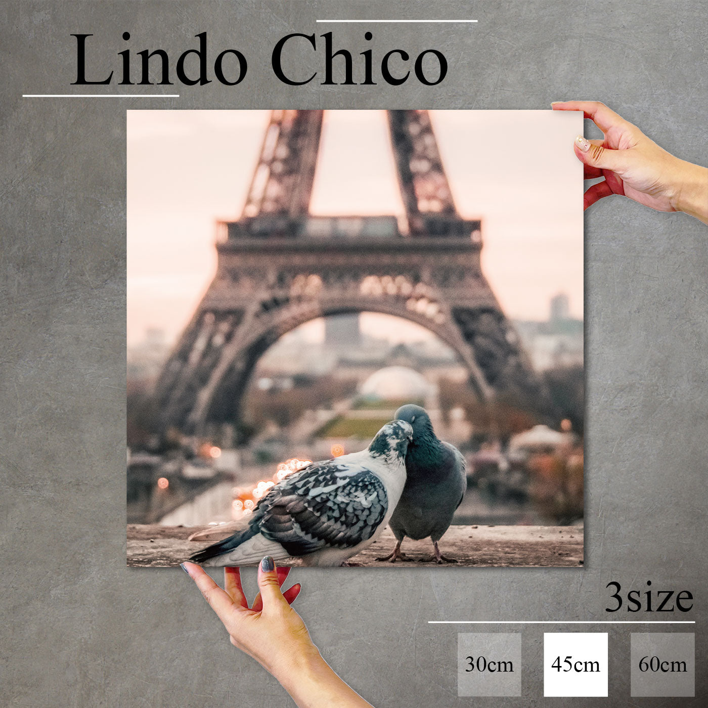 Fab-Lindo-Chico-abc-041