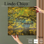 Fab-Lindo-Chico-abc-042