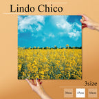 Fab-Lindo-Chico-abc-043