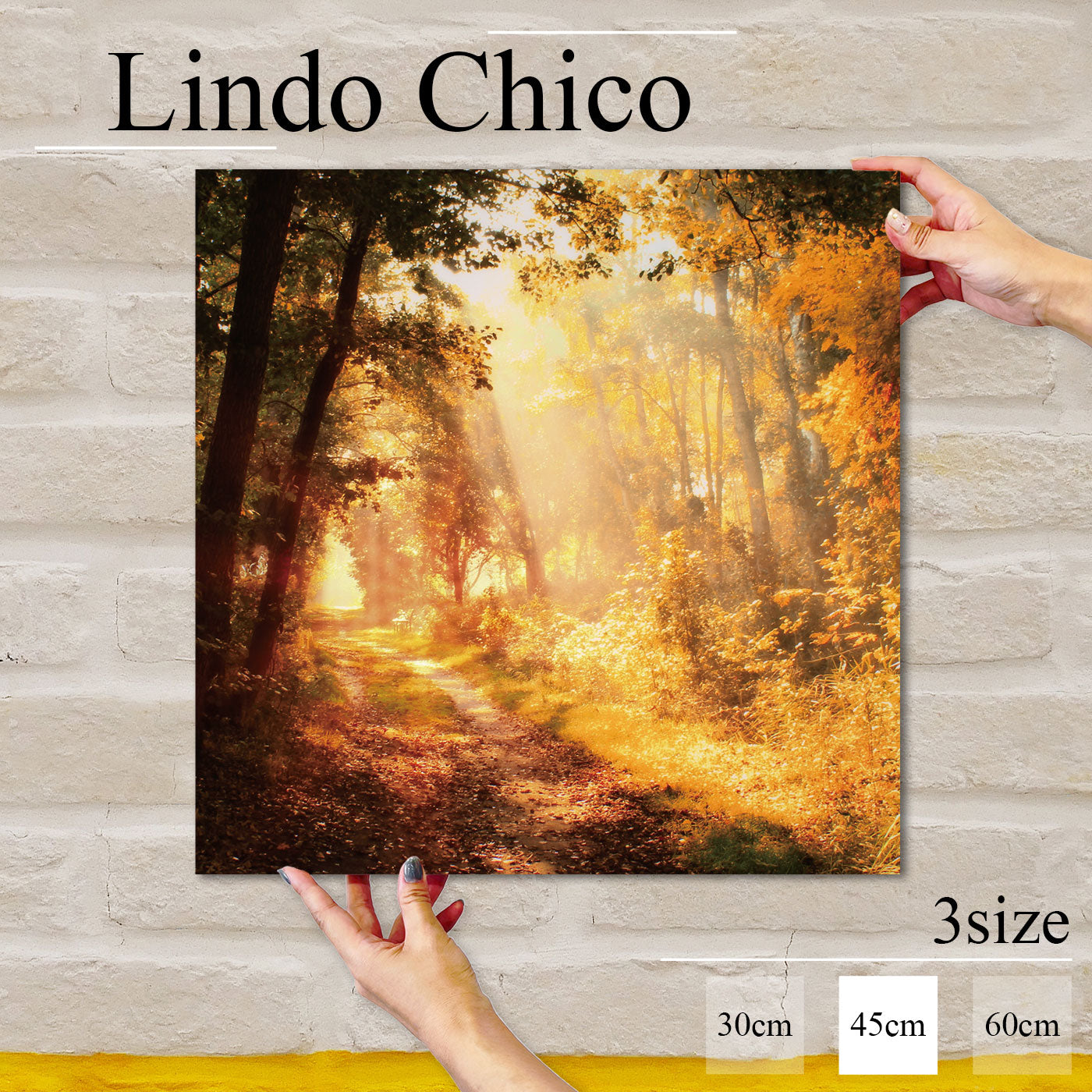 Fab-Lindo-Chico-abc-044