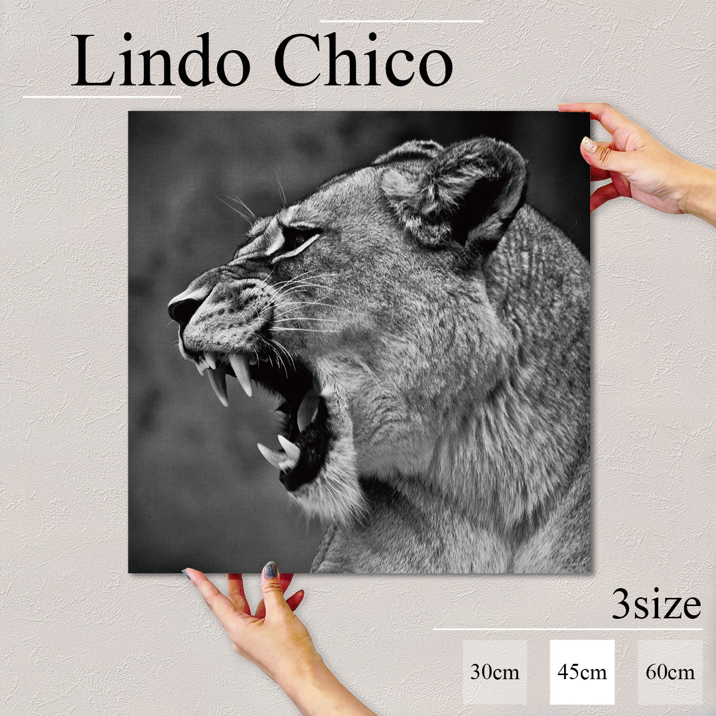 Fab-Lindo-Chico-abc-051