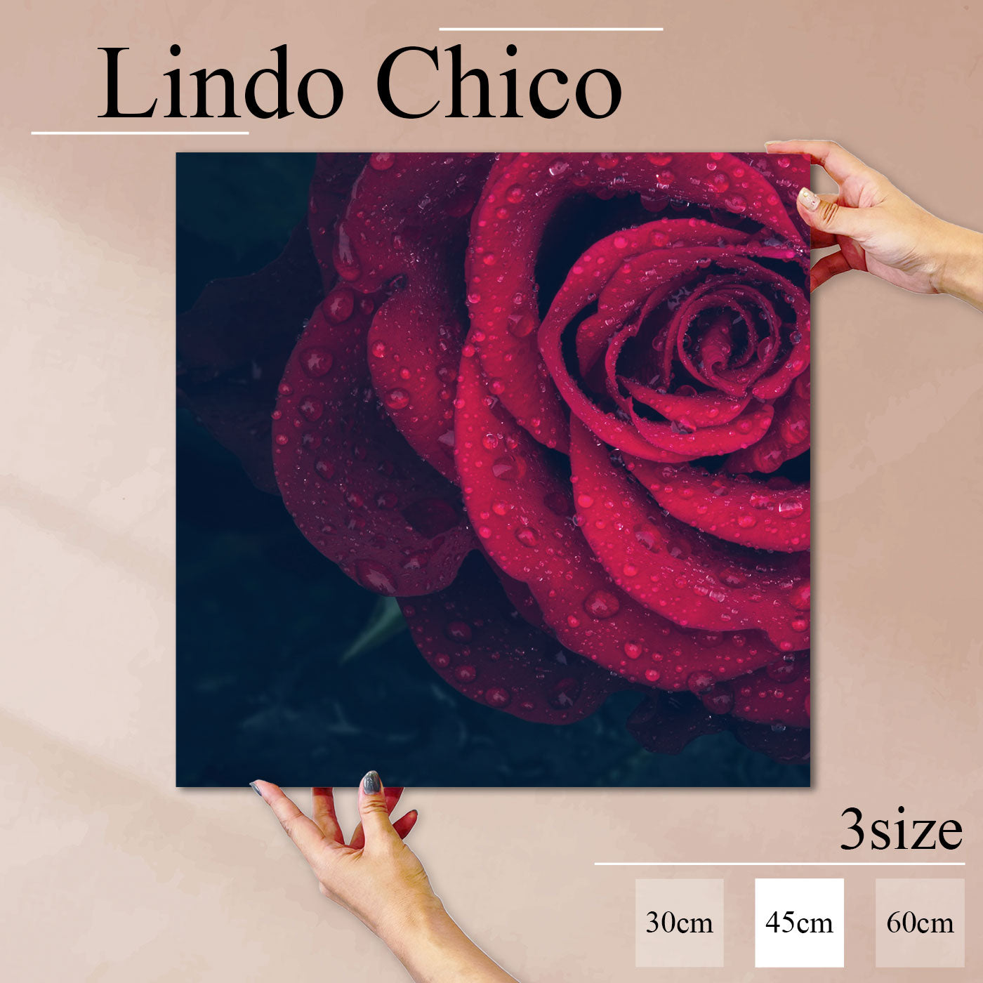 Fab-Lindo-Chico-abc-056