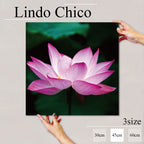 Fab-Lindo-Chico-abc-057