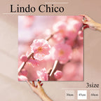 Fab-Lindo-Chico-abc-058