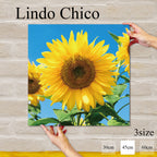 Fab-Lindo-Chico-abc-059