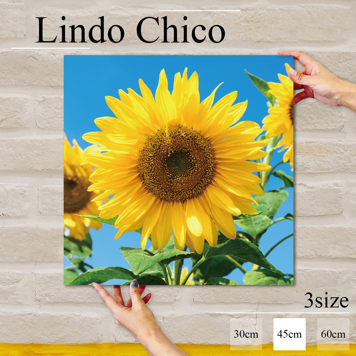 Fab-Lindo-Chico-abc-059