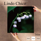 Fab-Lindo-Chico-abc-060