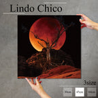 Fab-Lindo-Chico-abc-067