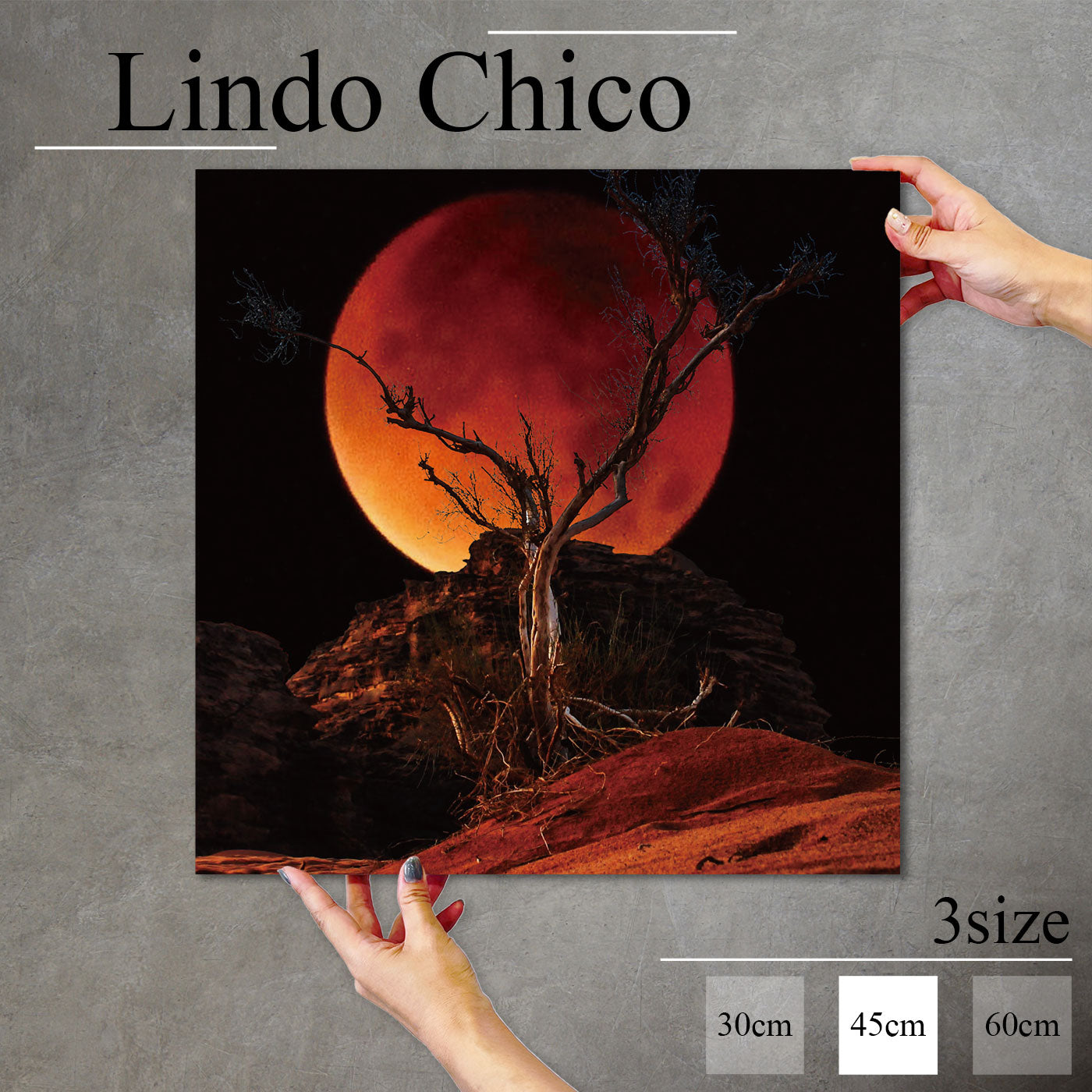 Fab-Lindo-Chico-abc-067