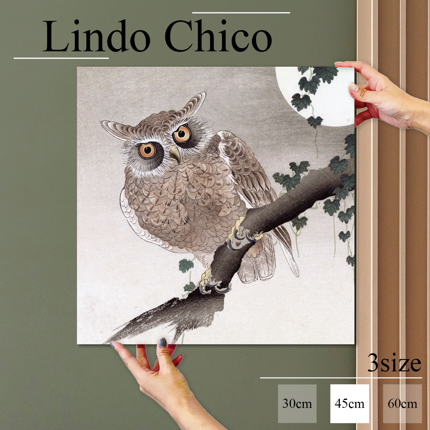 Fab-Lindo-Chico-abc-071