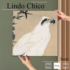 Fab-Lindo-Chico-abc-072