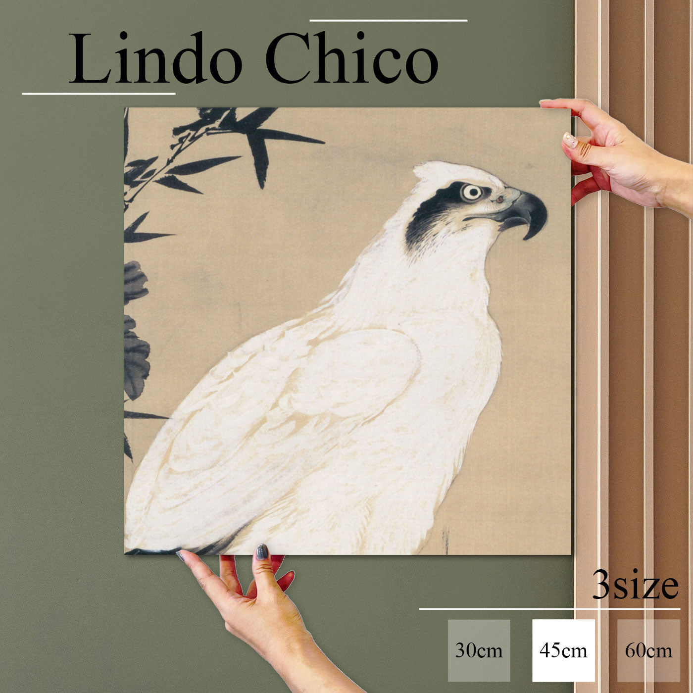 Fab-Lindo-Chico-abc-072