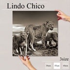 Fab-Lindo-Chico-abc-078