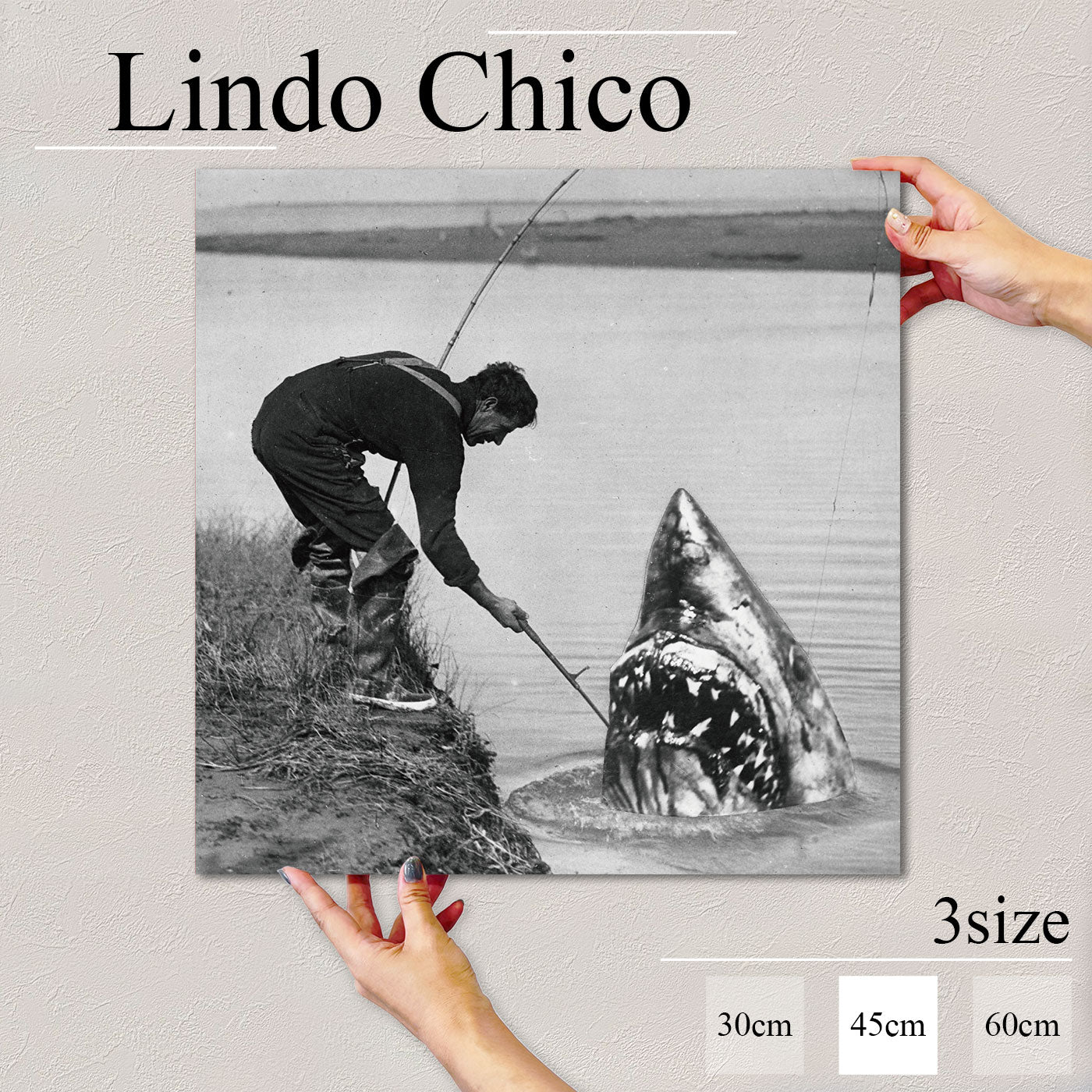 Fab-Lindo-Chico-abc-079