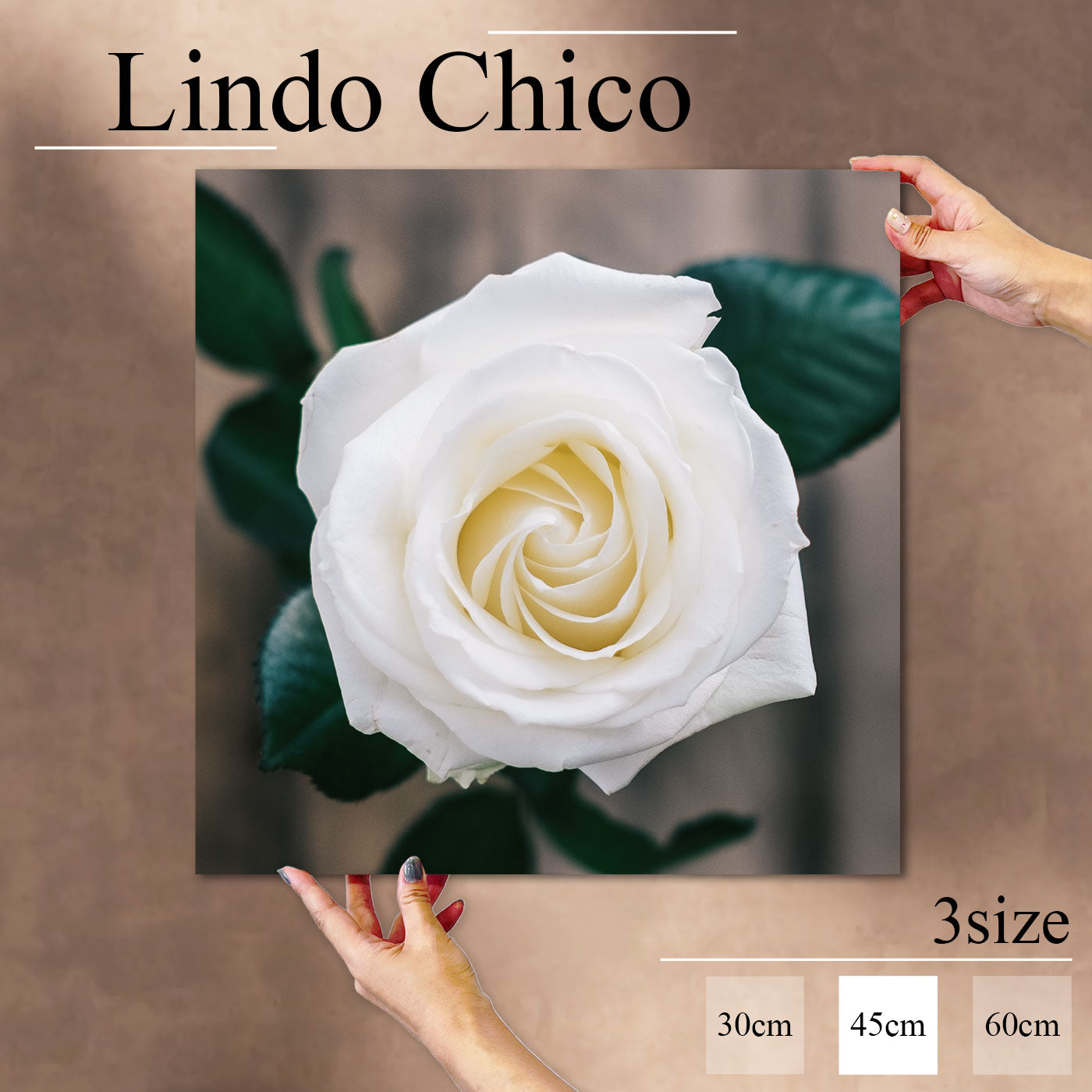 Fab-Lindo-Chico-abc-081