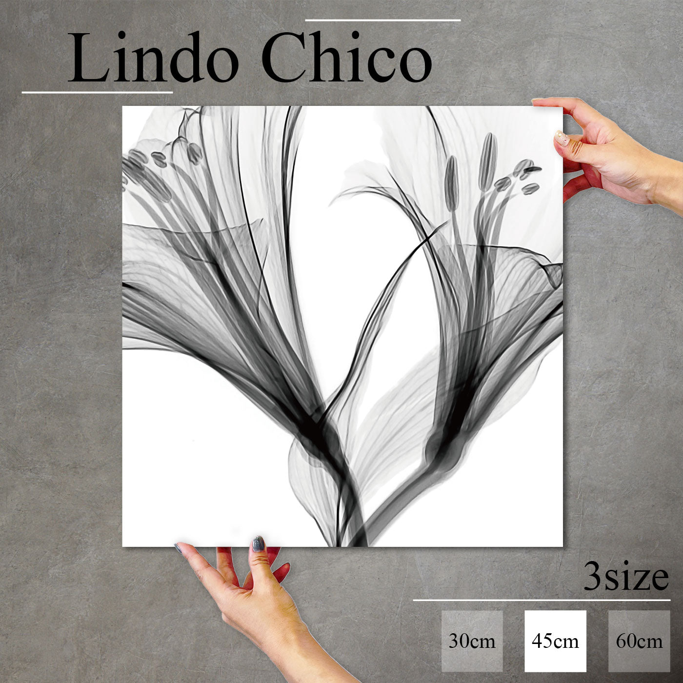 Fab-Lindo-Chico-abc-082