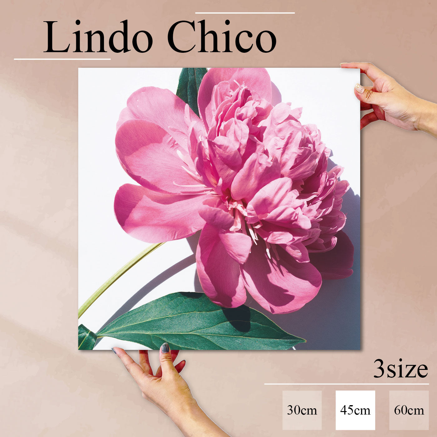 Fab-Lindo-Chico-abc-083