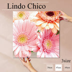 Fab-Lindo-Chico-abc-084